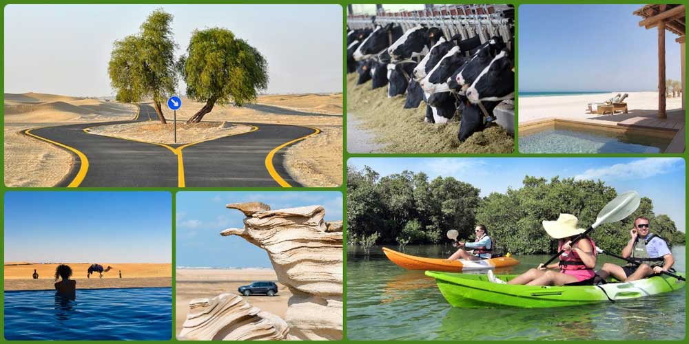 discover the undiscovered uae